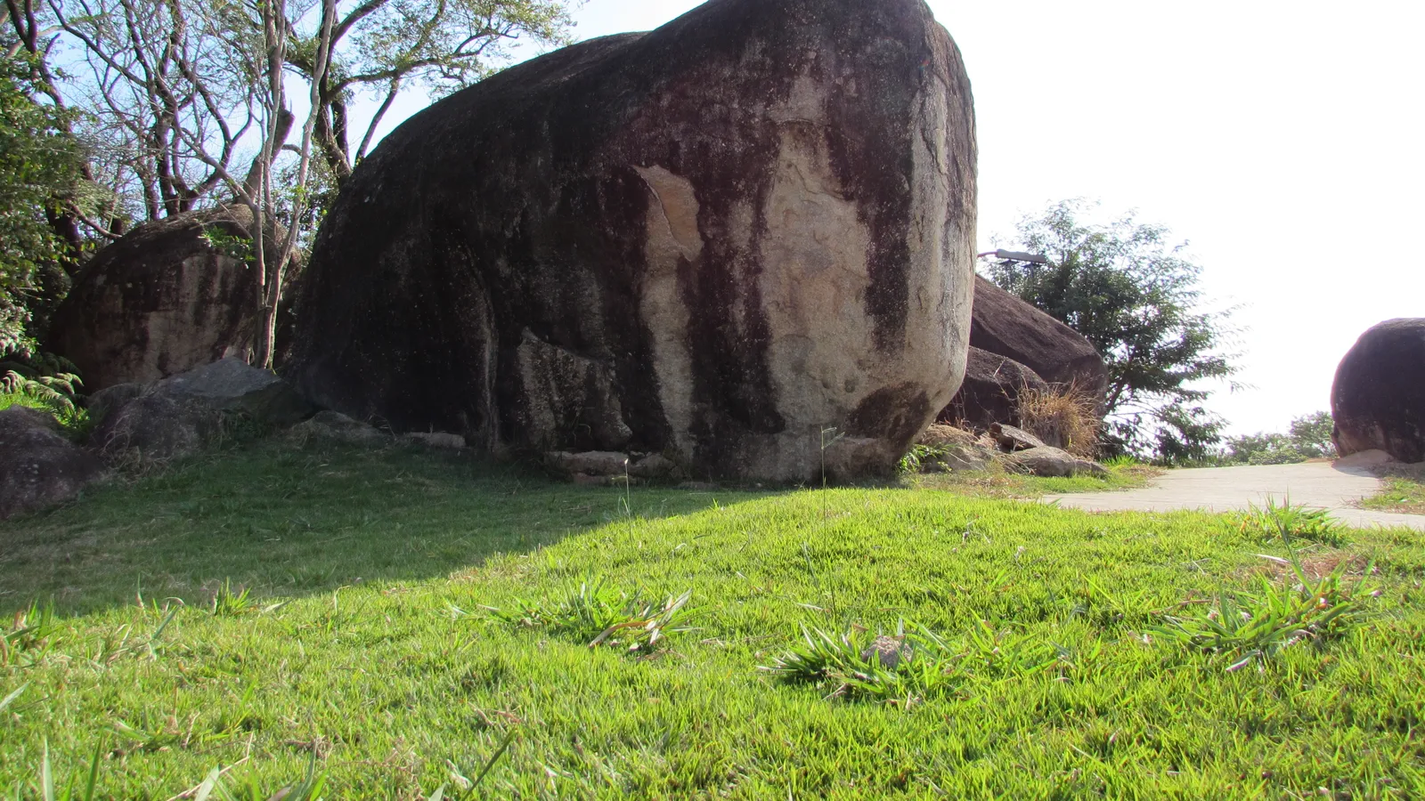 O que visitar em Piedade: cerejeiras, Torii, Pedra do Elefante e Mata Atlântica