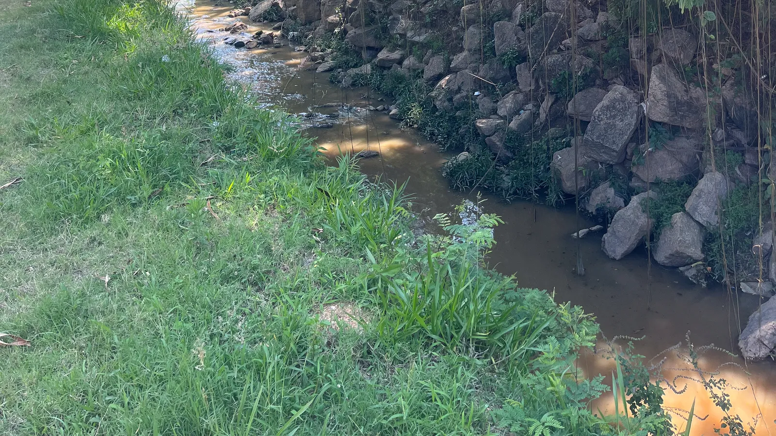 Córrego, adutora e piscinão: as obras de água e drenagem que passam pelo Jardim Europa
