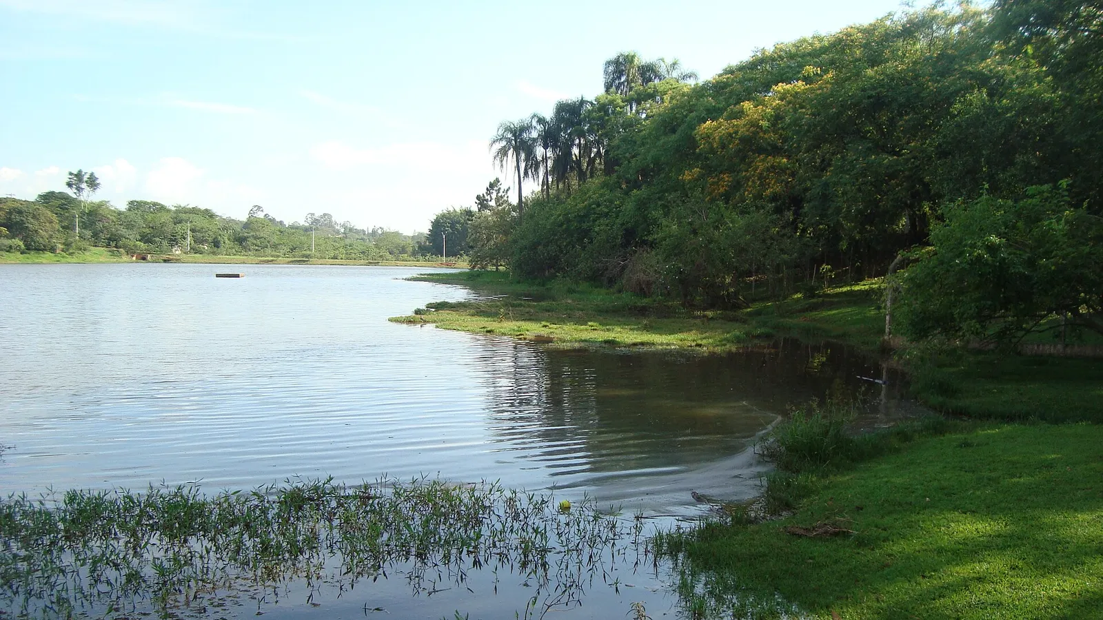 Descarte correto no Vale das Colinas: entulho, móveis velhos, eletrônicos e a área verde do bairro