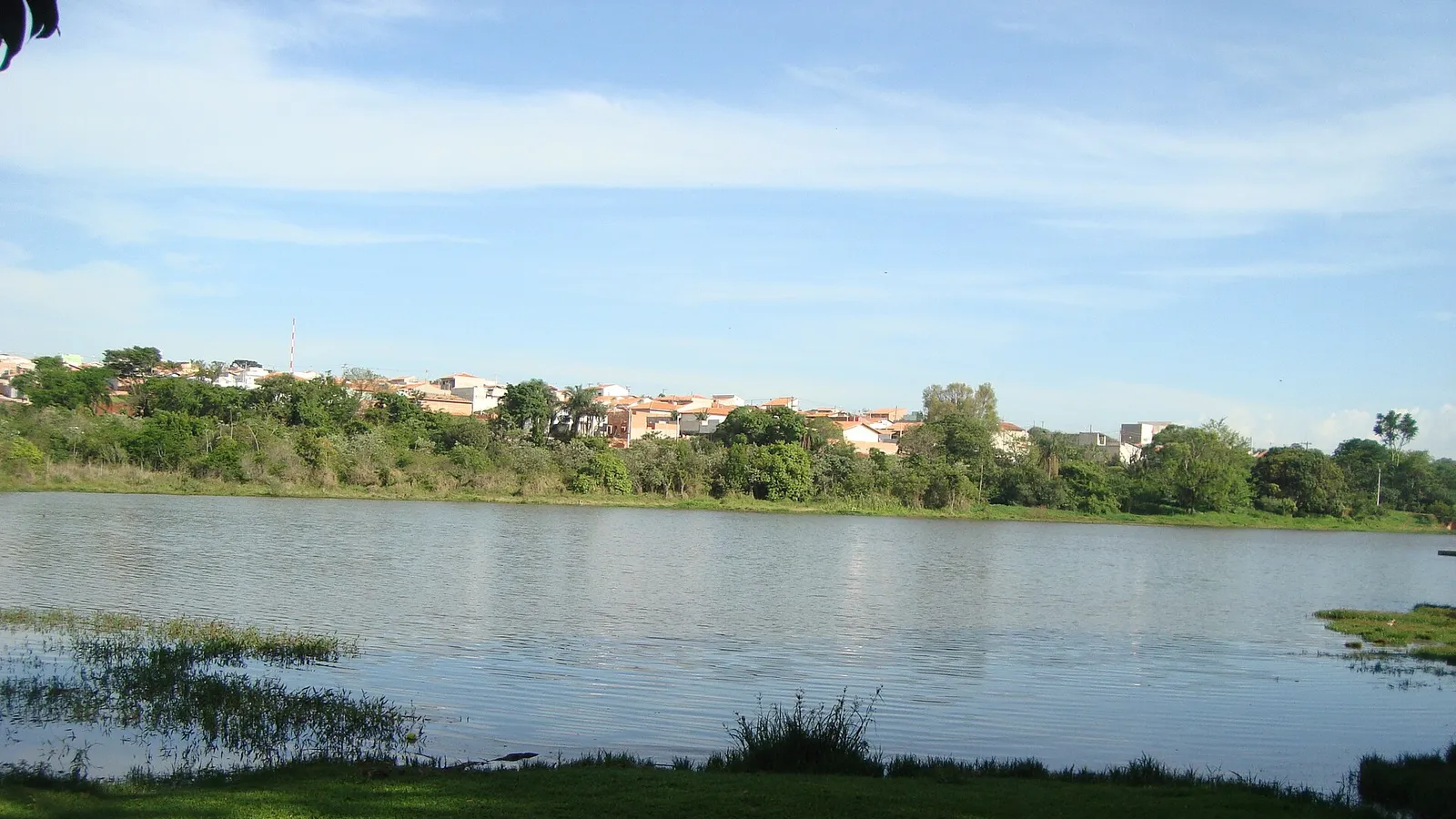 De onde vem o nome Portal Ville Azaleia: Pau D'Alho, a flor e as ruas do bairro em Boituva
