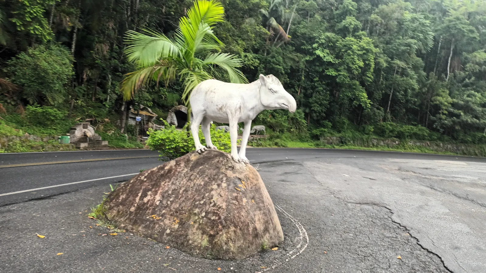 História de Tapiraí: de Santa Catarina ao 'lugar de anta'