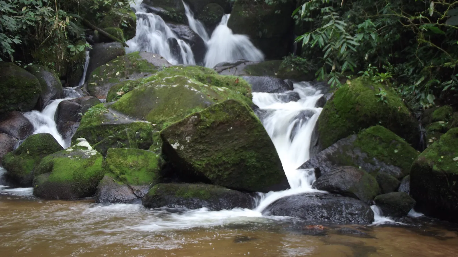 Tapiraí (SP): guia da cidade da Mata Atlântica na Região de Sorocaba