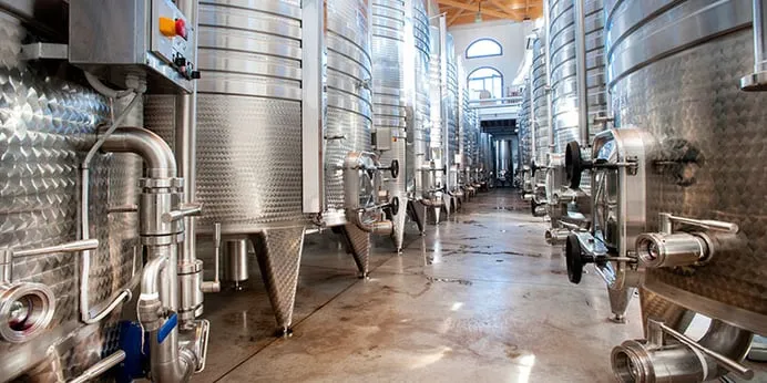 COMO ACONTECE A PRODUÇÃO DE ÁLCOOL NO VINHO?