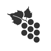 OUTRAS SUBSTÂNCIAS QUE INFLUENCIAM NA QUALIDADE DO VINHO