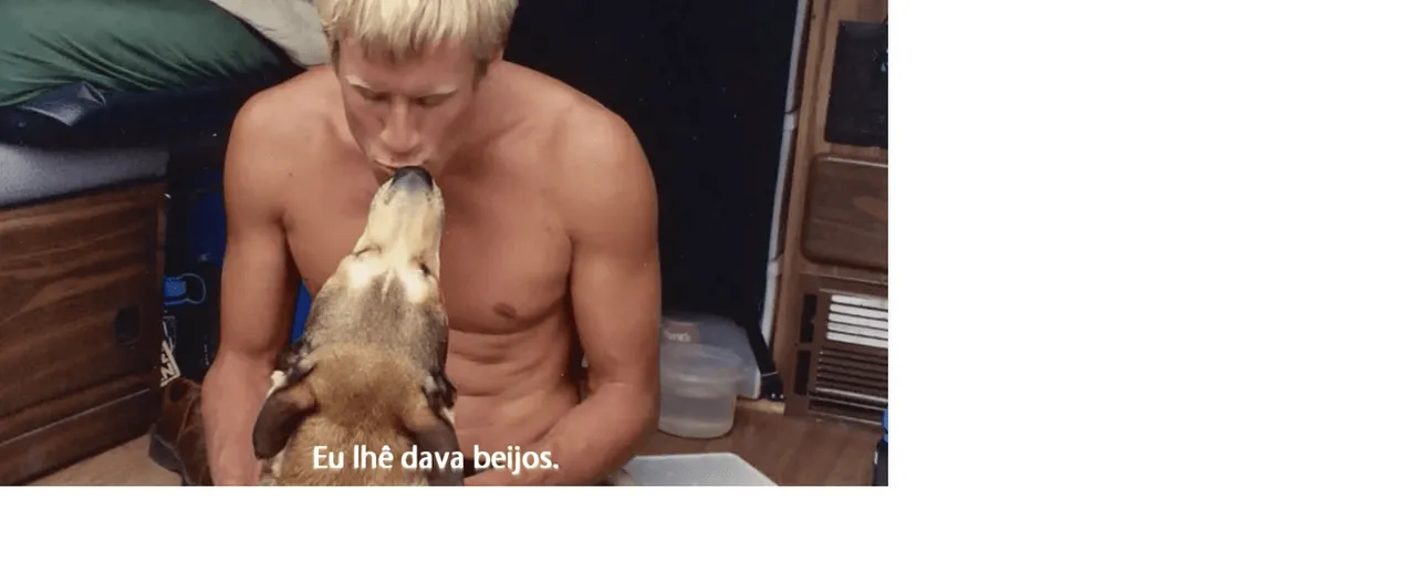 A fidelidade dos cães é incomparável!