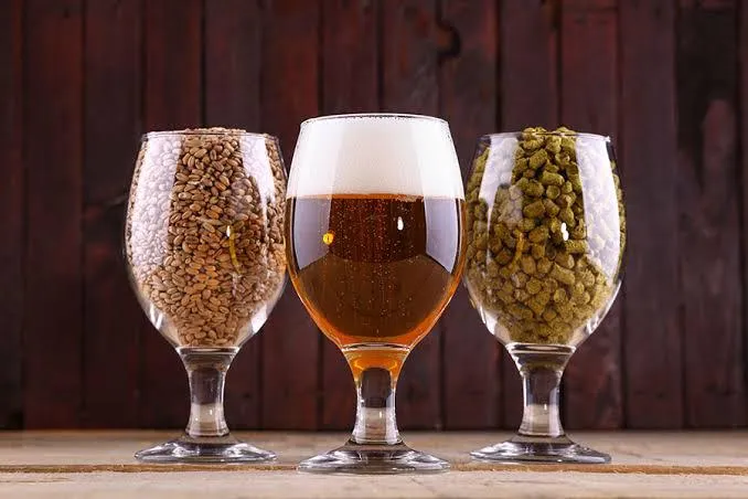 Tudo que você precisa entender sobre Cerveja Artesanal