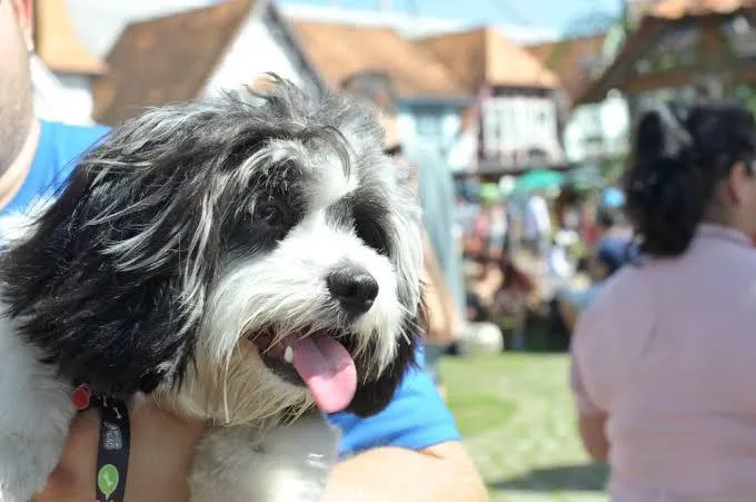 Parque da Biquinha irá receber o 'Cãominhada'