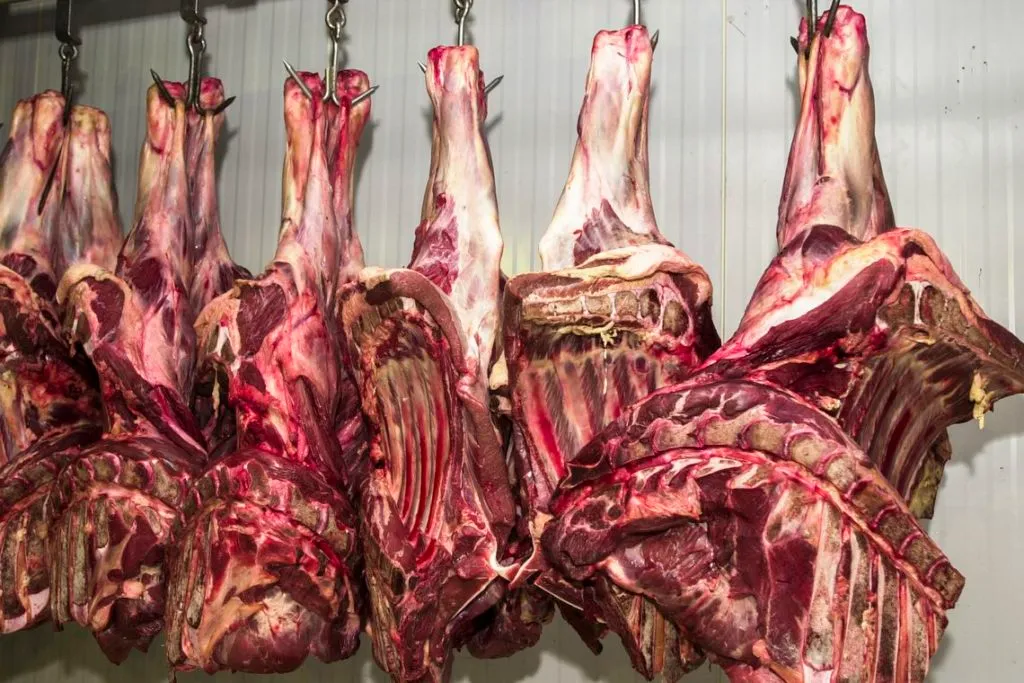 Entenda o aumento do preço da carne no Brasil