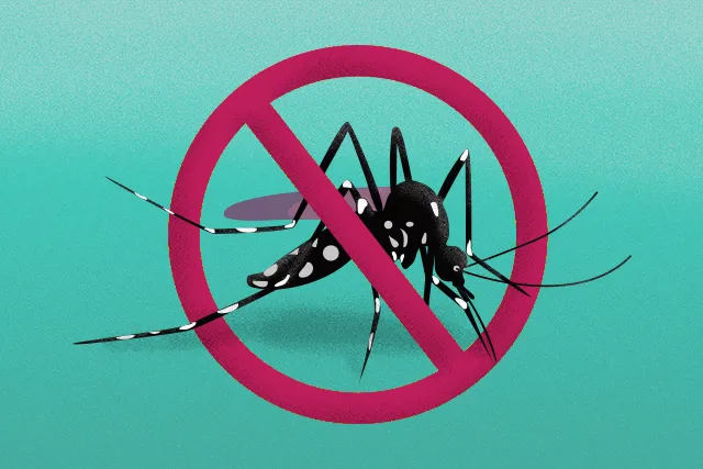 ALERTA! Prefeitura de Sorocaba comunica epidemia de dengue na cidade