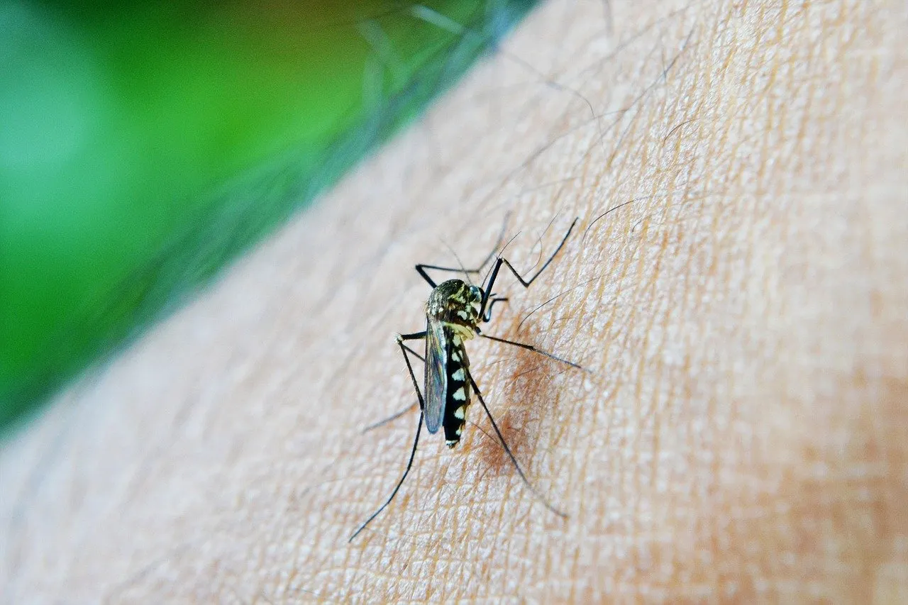 Dengue: Sorocaba tem aumento de casos e mortes suspeitas