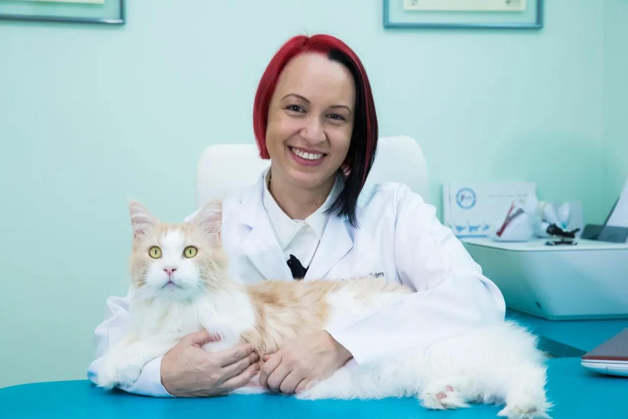 Adolescência felina: aprenda a lidar com o seu gato rebelde