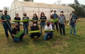 Etec de Itapetininga doa alimentos de horta solidária a hospital