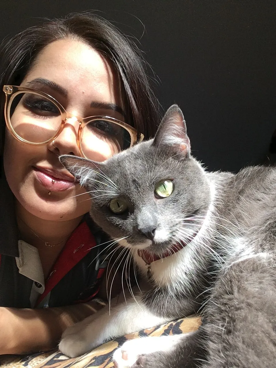 FIV e FeLV: Ameaças silenciosas para os gatos