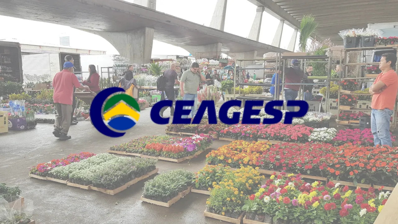 CEAGESP Sorocaba: Um dos Principais Centros de Abastecimento da Região