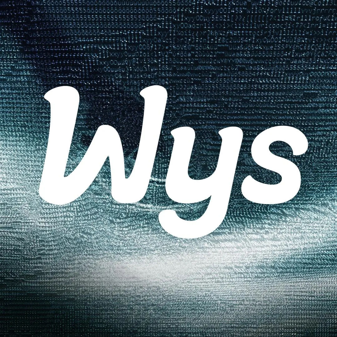 Hub Wys é inaugurado como novo polo de tecnologia, comunicação e inovação em Sorocaba